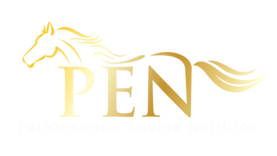 Performance Equine Nutrition | Where nutrition meets training