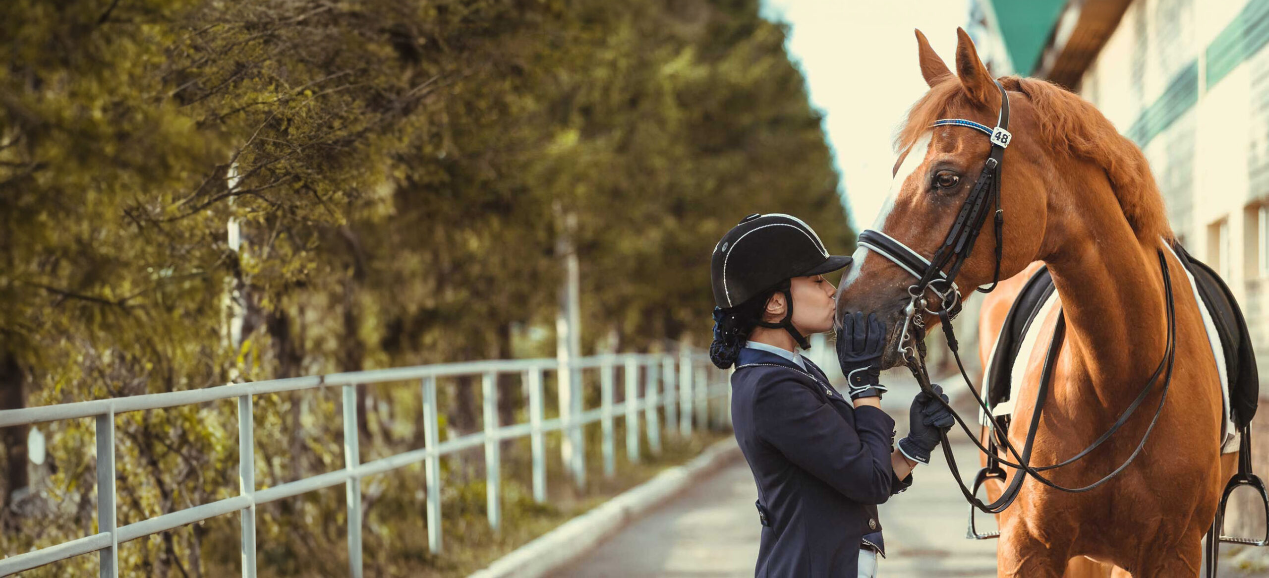 girl kissing a horse