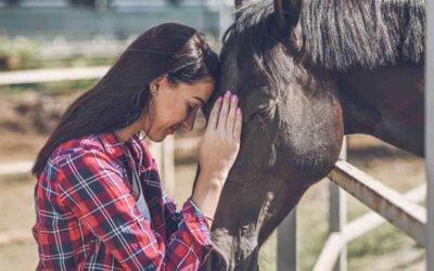 What are the first signs of Cushings Disease in Horses?
