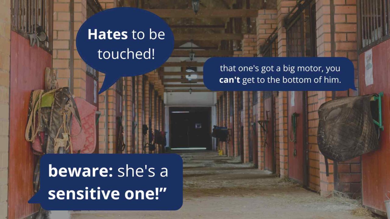 Rethinking Horse Behavior Is Magnesium Deficiency the Culprit