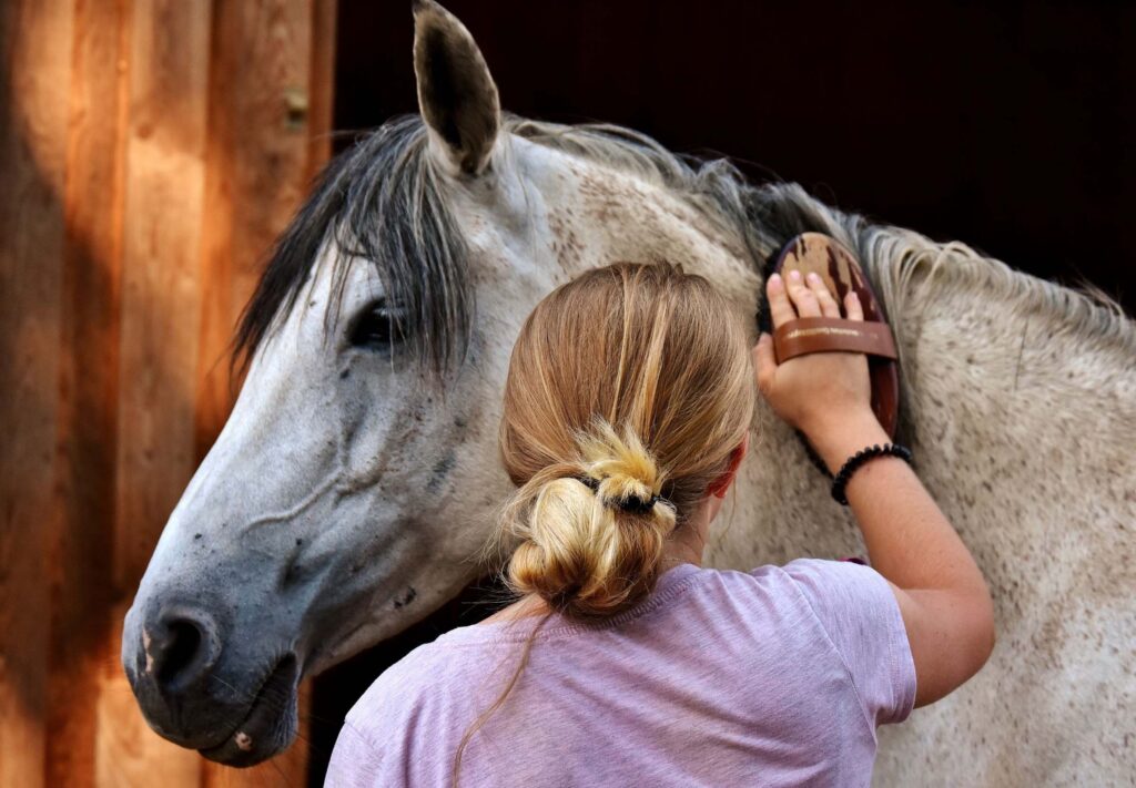 A woman brushing a horse