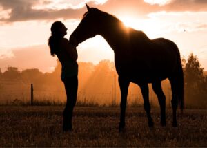 A woman and a horse silhouetted in a field
