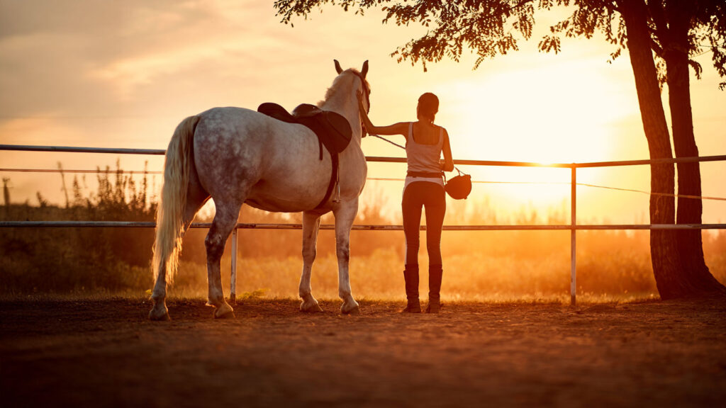woman and horse at fence