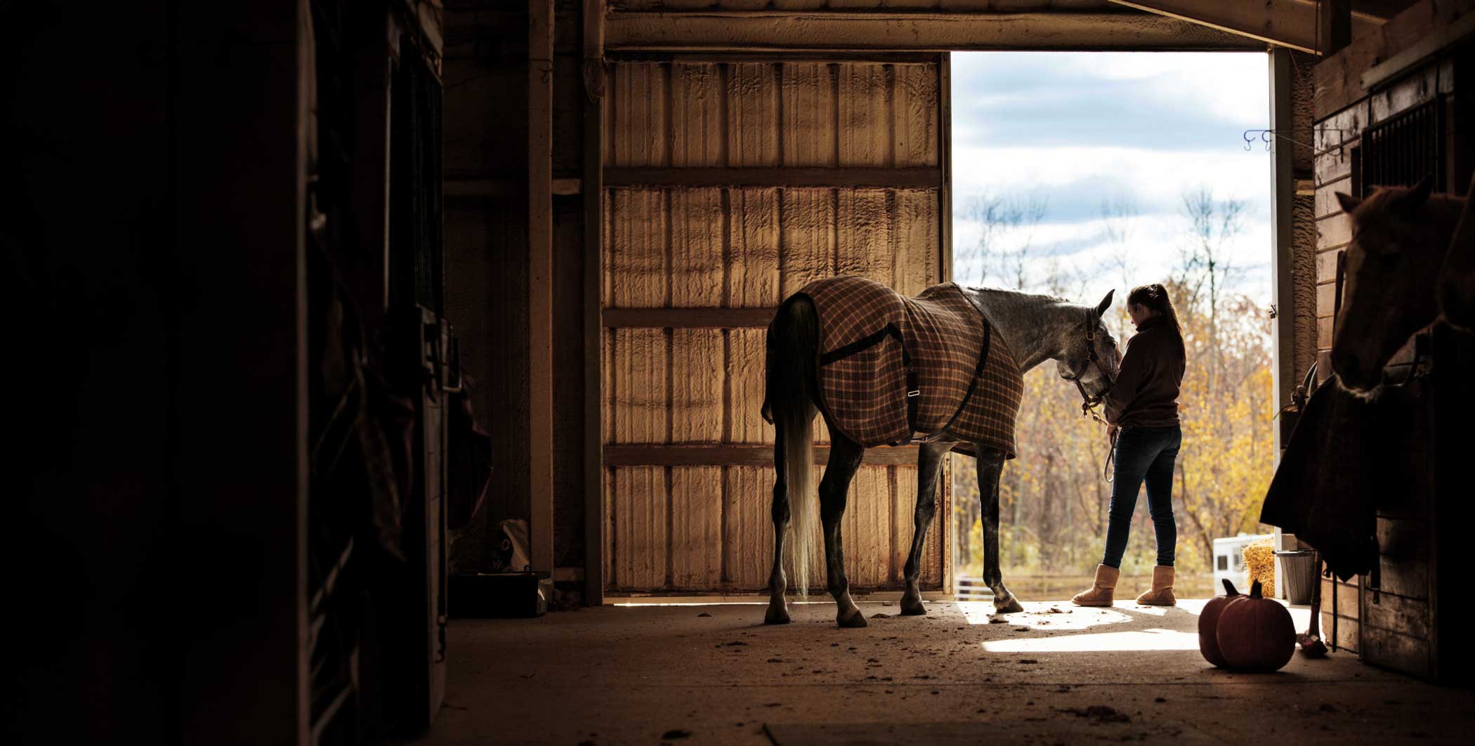 horse and rider standing in a dimly lit barn
