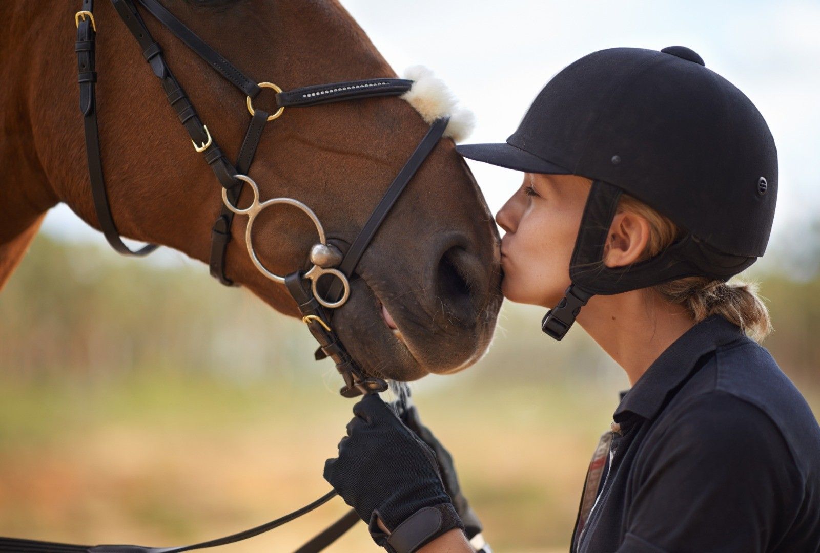 Equestrian rider kissing a bay horse.