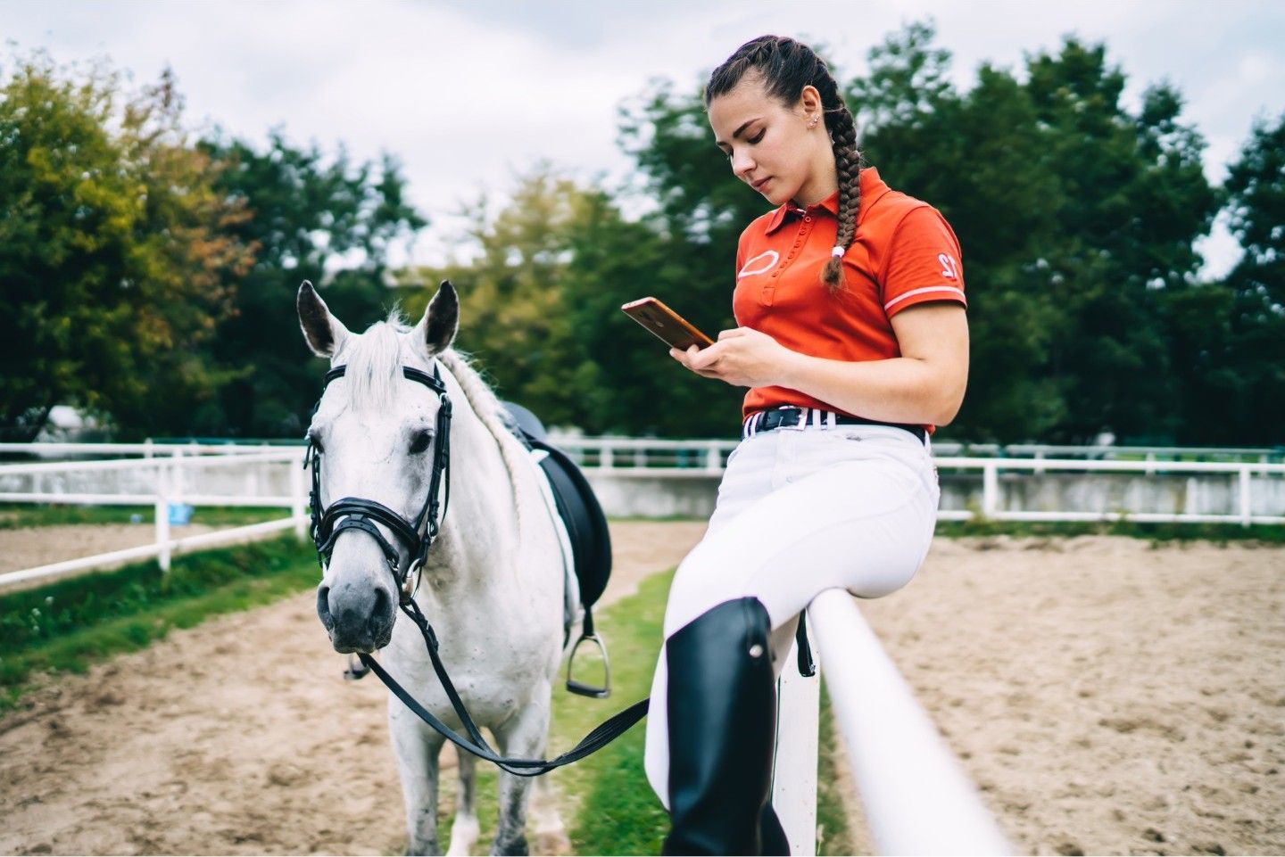 Equestrian rider with a grey horse in an arena.